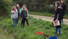 Ügyességi feladat kvízkérdéssel