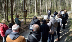 Müncheni és rosenheimi magyar katolikusok a keresztúton