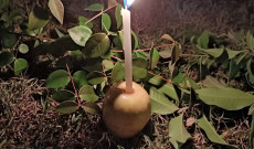 Gyertyafényben Gyertyafényben