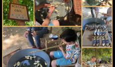 Rumini nap Berg Judittal