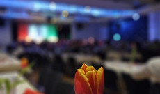 Piros-fehér-zöldben pompázik a terem a frankfurti magyar bálon