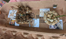 Néhány elkészült alkotás Néhány elkészült alkotás