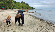 Kagyló után kutatva