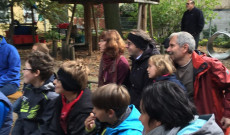 Szüret - közönség