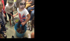 Szőlőtaposás Szőlőtaposás