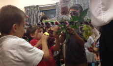 szüretelés szüretelés