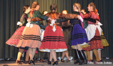 Magyarbődi karikázó Magyarbődi karikázó