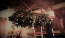 Kis Ferenc a szüreti koszorú boldog tulajdonosa.