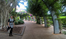 Brisbane-i városnézés Brisbane-i városnézés