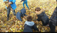 Strasbourgi kincskereső Strasbourgi kincskeresők