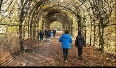 Strasbourgi kincskereső Strasbourgi kincskeresők
