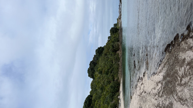 Tiritiri Matangi sziget kilátása