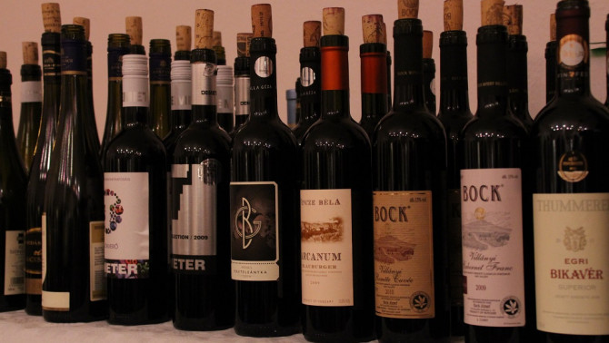 Fotó: Szabó Janka Fotó: Szabó Janka